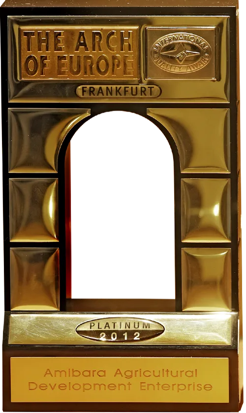 2012 award