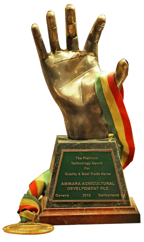 2010 award