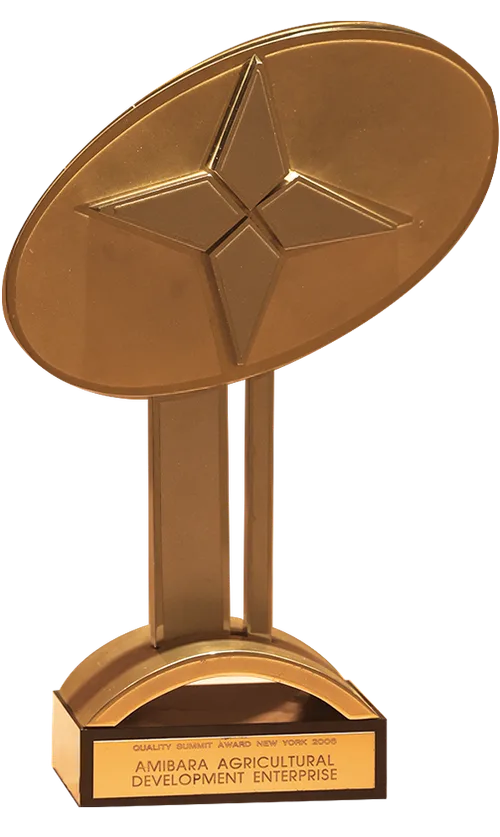 2008 award